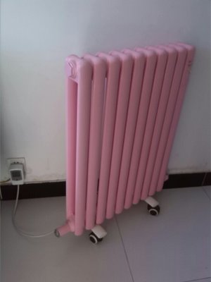 冬日溫暖守護(hù) 電暖器的挑選與使用指南